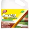 RustAid Drain Cleaners 1-Gallon Rust Remover