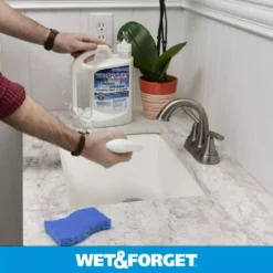 Wet and Forget Mold Removers 64-fl oz Liquid Mold Remover -Cleaning Supplies Sales Shop 07924815