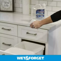 Wet and Forget Mold Removers 64-fl oz Liquid Mold Remover -Cleaning Supplies Sales Shop 07924817