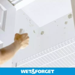 Wet and Forget Mold Removers 64-fl oz Liquid Mold Remover -Cleaning Supplies Sales Shop 07924819