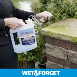 Wet and Forget Outdoor Cleaners 64-oz Multi-Surface Outdoor Cleaner -Cleaning Supplies Sales Shop 08539293