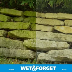 Wet and Forget Outdoor Cleaners 48-fl oz Mold and Mildew Stain Remover Concentrated Outdoor Cleaner 18 Wet and Forget Outdoor Cleaners 48-fl oz Mold and Mildew Stain Remover Concentrated Outdoor Cleaner -Cleaning Supplies Sales Shop 09697095