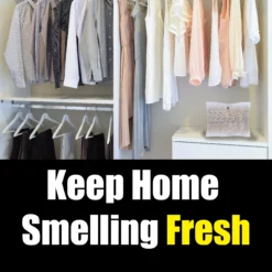 Gonzo Natural Magic Air Fresheners Odor Eliminator Odor Eliminators Air Freshener -Cleaning Supplies Sales Shop 10037749