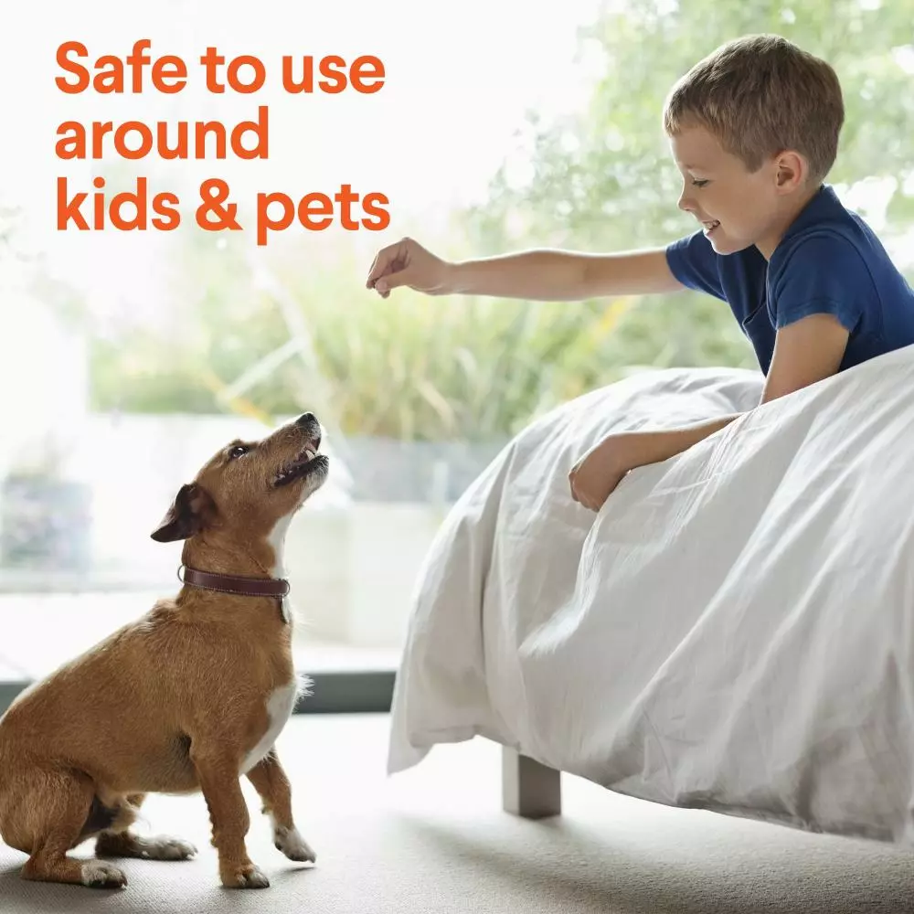 Clorox All-Purpose Cleaners 128-fl oz Urine Remover Liquid All-Purpose Cleaner 4 Clorox All-Purpose Cleaners 128-fl oz Urine Remover Liquid All-Purpose Cleaner - Image 3