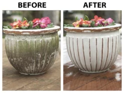 30 SECONDS Outdoor Cleaners 2.5-Gallon Mold and Mildew Stain Remover Concentrated Outdoor Cleaner -Cleaning Supplies Sales Shop 10592921