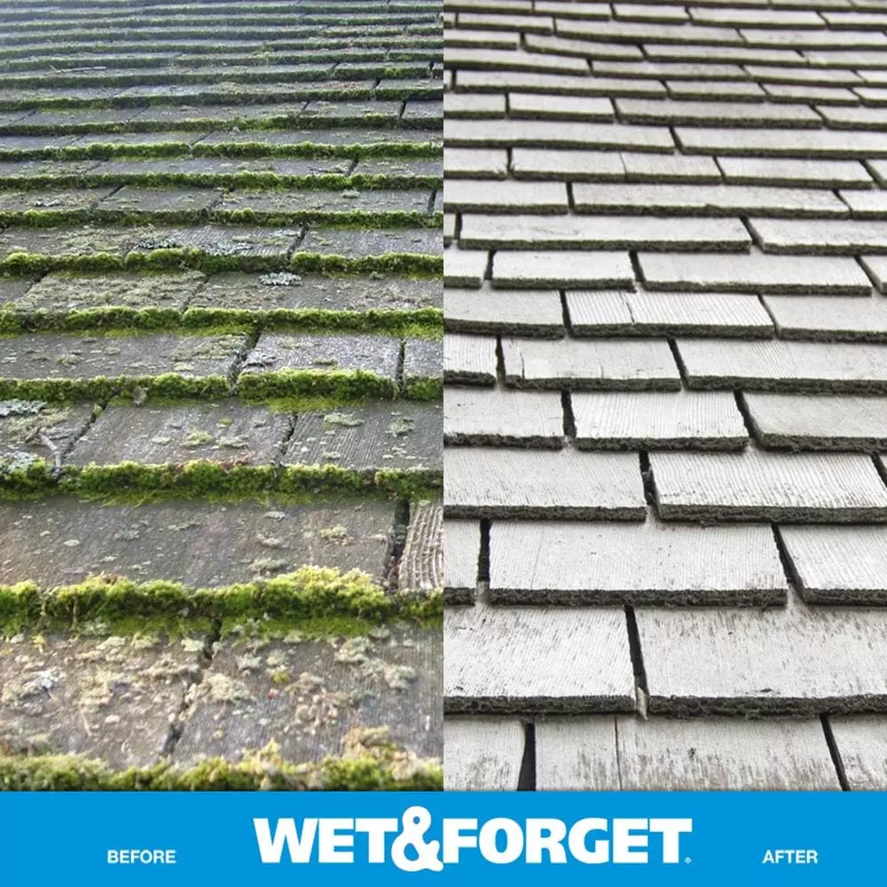 Wet and Forget Outdoor Cleaners 48-fl oz Mold and Mildew Stain Remover Concentrated Outdoor Cleaner 13 Wet and Forget Outdoor Cleaners 48-fl oz Mold and Mildew Stain Remover Concentrated Outdoor Cleaner - Image 11