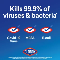 Clorox Germicidal Bleach, Regular- 81-oz Bottle -Cleaning Supplies Sales Shop 14545319