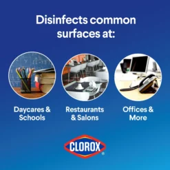 Clorox Germicidal Bleach, Regular- 81-oz Bottle -Cleaning Supplies Sales Shop 14545320