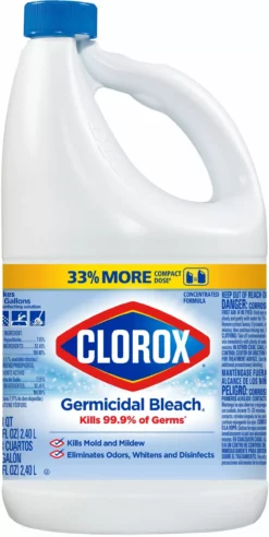 Clorox Germicidal Bleach, Regular- 81-oz Bottle