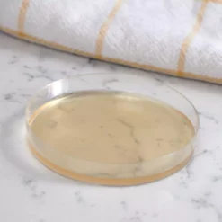 Mold Armor Mold Test Kits Mold Test Kit -Cleaning Supplies Sales Shop 15884063