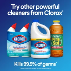 Clorox Germicidal Bleach, Regular- 81-oz Bottle -Cleaning Supplies Sales Shop 17873176