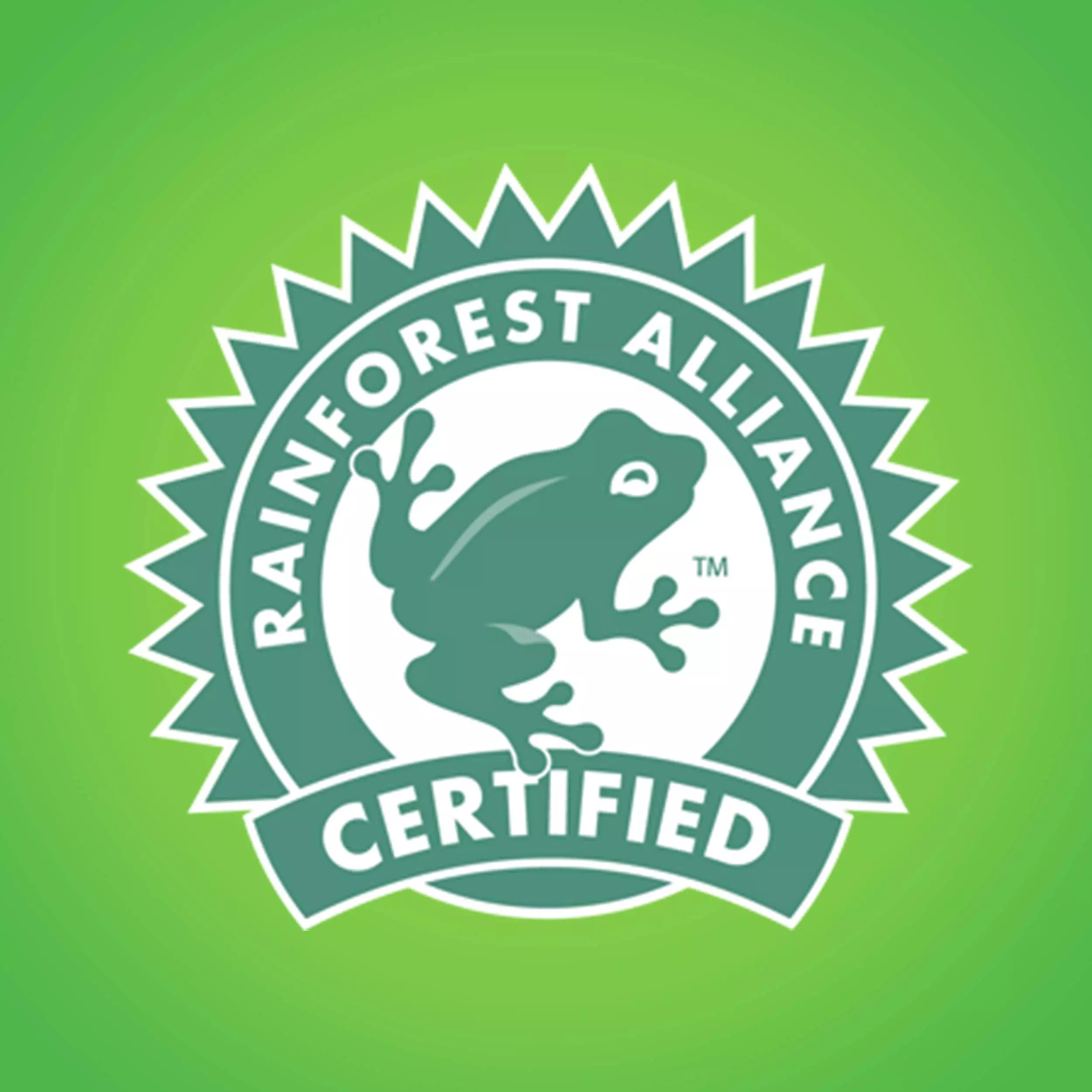 Bounty Select-a-Size Double Plus-Roll 2-Count Paper Towels 9 Bounty Select-a-Size Double Plus-Roll 2-Count Paper Towels - Image 8