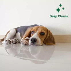 Pinalen All-Purpose Cleaners 128-fl oz Pine Liquid All-Purpose Cleaner -Cleaning Supplies Sales Shop 43177381