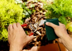 Scotch-Brite Sponges & Scouring Pads Heavy Duty 6-Pack Poly Fiber Scouring Pad -Cleaning Supplies Sales Shop 44865905 scaled