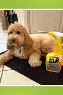 CLR Multipurpose Bathroom Cleaners 26-oz Foam Multipurpose Bathroom Cleaner -Cleaning Supplies Sales Shop 45467317