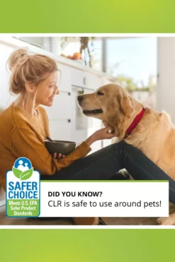 CLR Rust Removers 128-oz Rust Remover -Cleaning Supplies Sales Shop 45501273