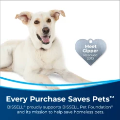 BISSELL Steam Cleaner Chemicals 40-fl oz Concentrated Steam Cleaner Chemical -Cleaning Supplies Sales Shop 45547480