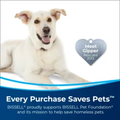 BISSELL Stain Pretreat 22 oz. Carpet Cleaning Solution -Cleaning Supplies Sales Shop 45547523