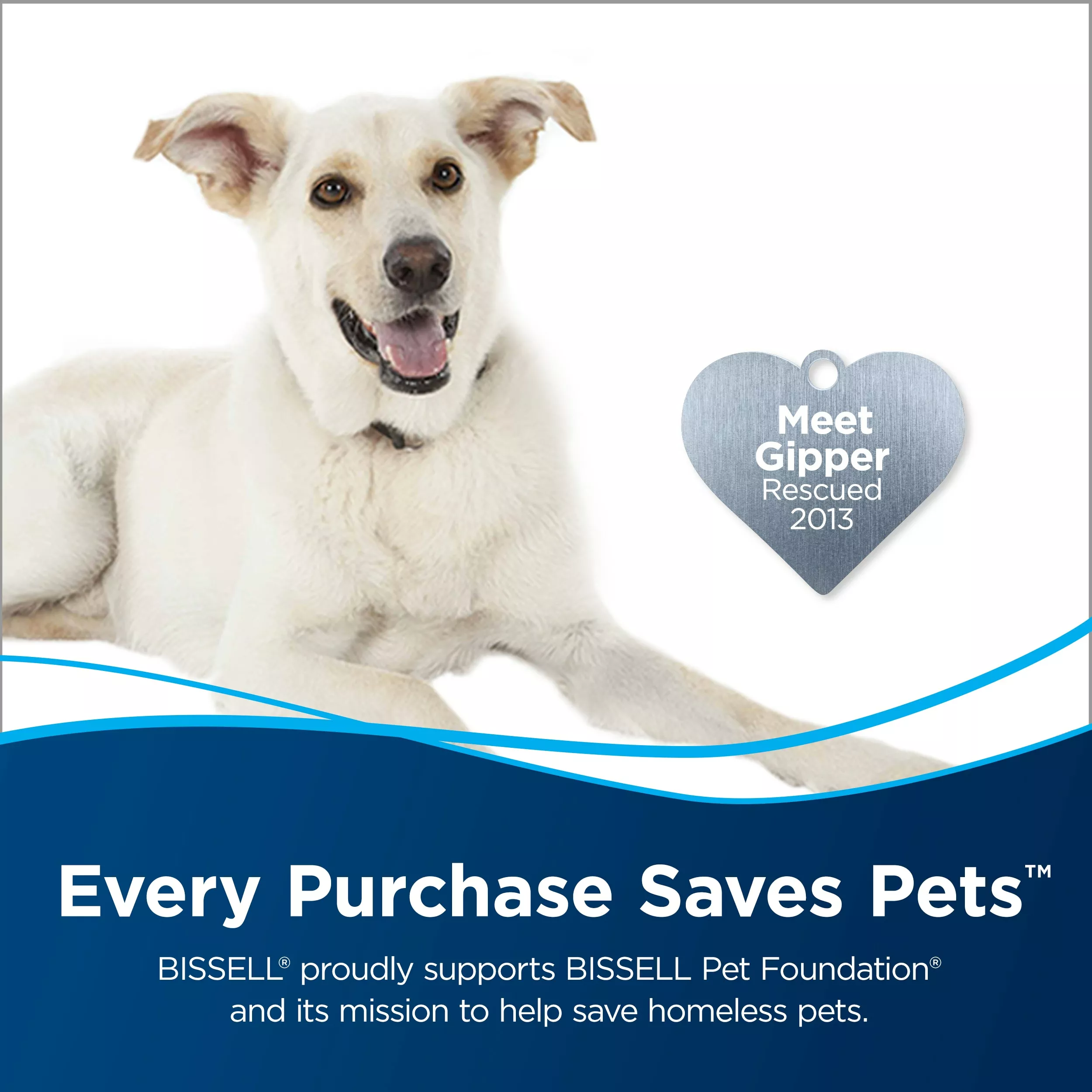 BISSELL 32-oz Steam Cleaner Chemicals 32-oz Steam Cleaner Chemical 5 BISSELL 32-oz Steam Cleaner Chemicals 32-oz Steam Cleaner Chemical - Image 3