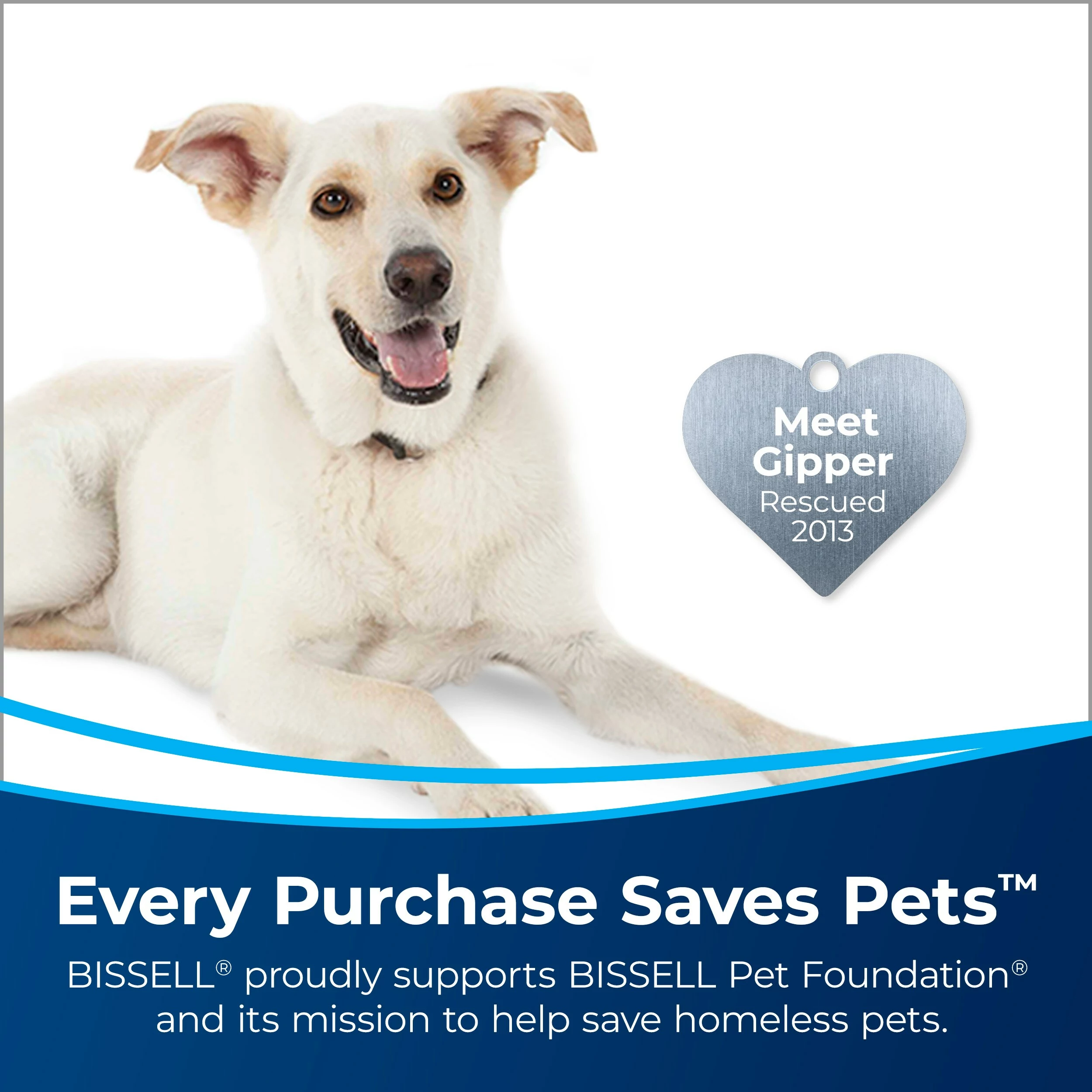 BISSELL Steam Cleaner Chemicals CrossWave 32-fl oz Concentrated Steam Cleaner Chemical 5 BISSELL Steam Cleaner Chemicals CrossWave 32-fl oz Concentrated Steam Cleaner Chemical - Image 3