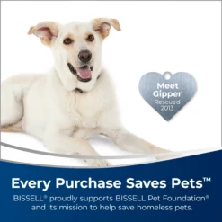 BISSELL Steam Cleaner Chemicals 60-oz Deep Cleaner Chemical 60-oz Concentrated Steam Cleaner Chemical -Cleaning Supplies Sales Shop 45607263