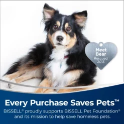 BISSELL Carpet Cleaning Solution Professional Power Shot Oxy Spot Remover Spray -Cleaning Supplies Sales Shop 45675574